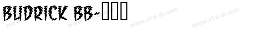 Budrick BB字体转换